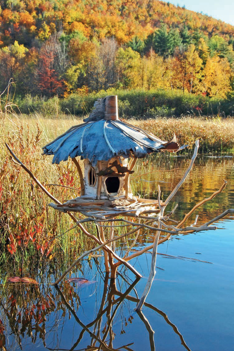 tips_for_fairy_houses_quarto_homes2.jpg